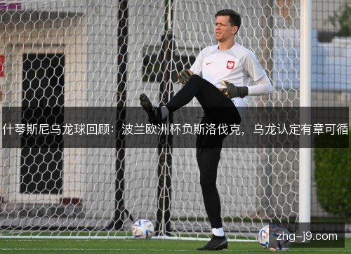 什琴斯尼乌龙球回顾:波兰欧洲杯负斯洛伐克,乌龙认定有章可循 什琴斯尼乌龙球回顾:波兰欧洲杯负斯洛伐克,乌龙认定有章可循